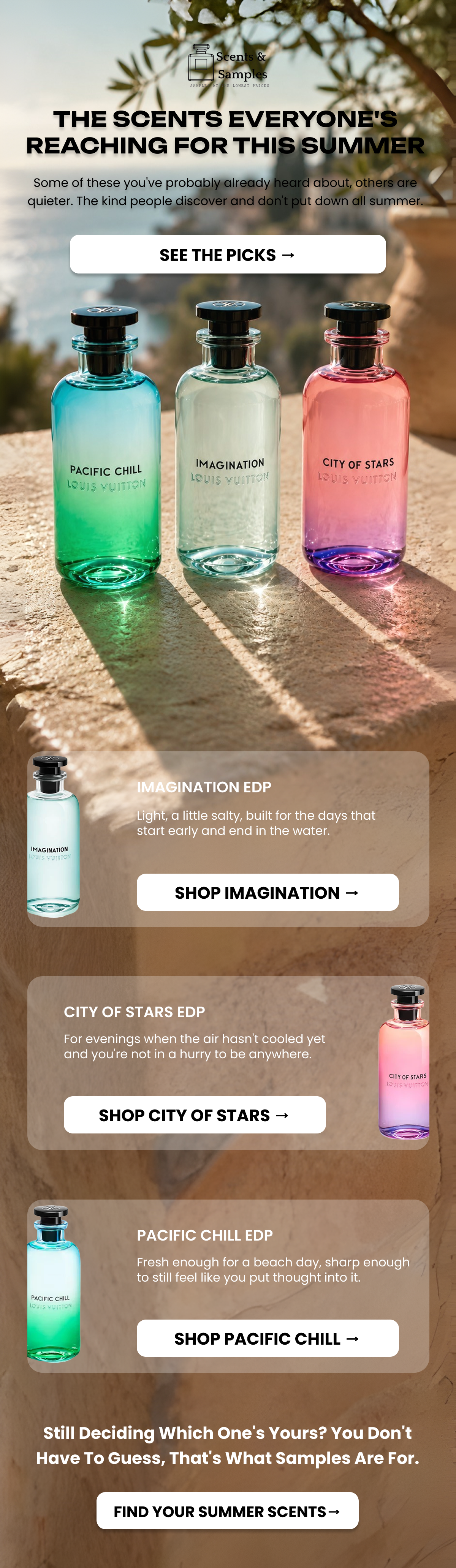 Email Campaign 3